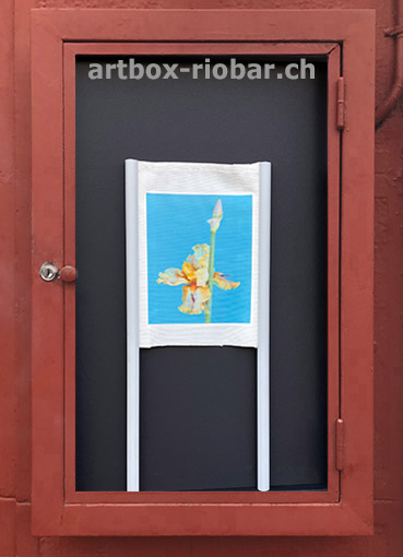 andreasschneider-salinas